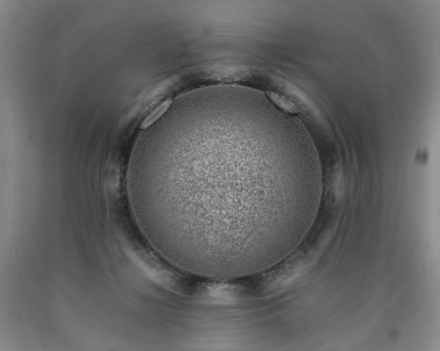 X0000090880268200707271317