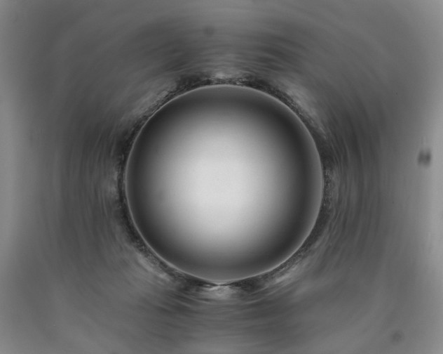 X0000090880269200707271317