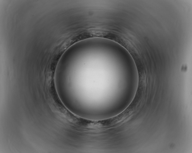 X0000090880271200707271317