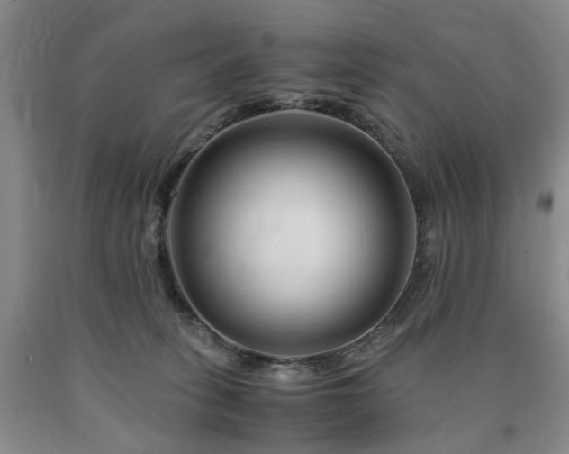 X0000090880275200707271317