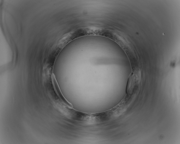 X0000090880276200707271317