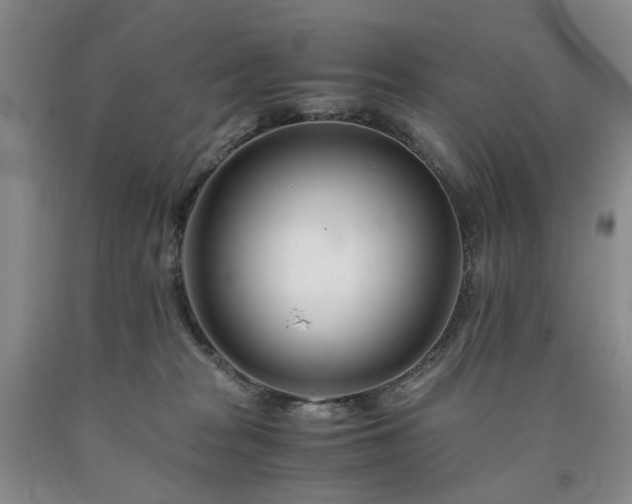 X0000090880277200707271317