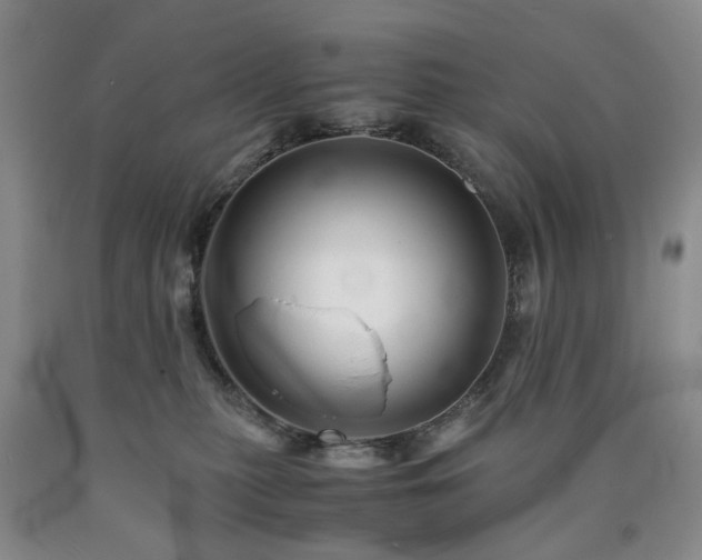 X0000090880279200707271317