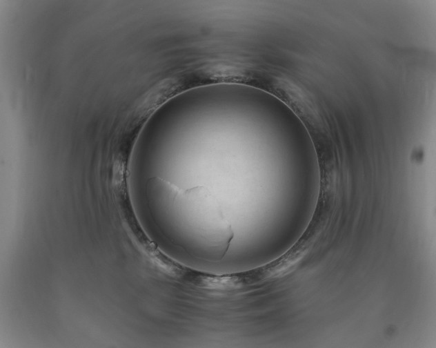 X0000090880281200707271317