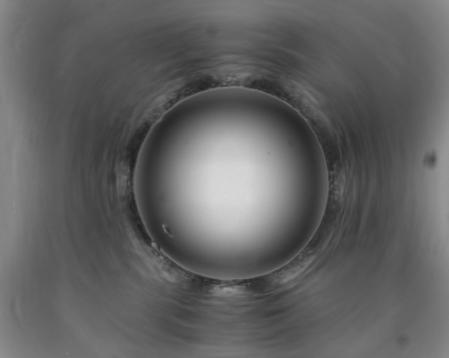 X0000090880283200707271317