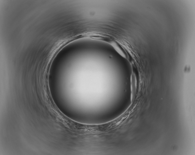 X0000090880289200707271317