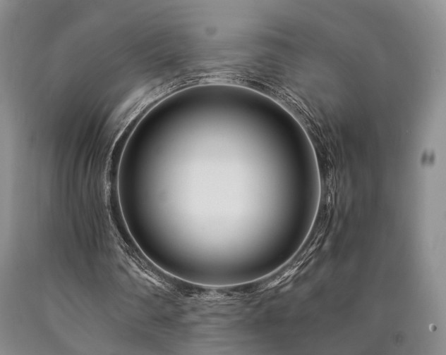 X0000090880290200707271317