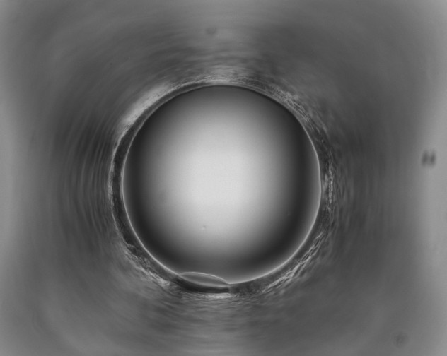X0000090880292200707271317