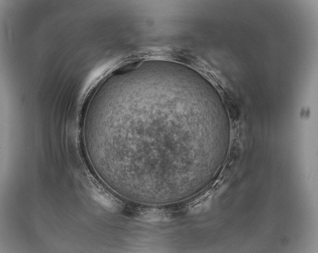 X0000090880293200707271317