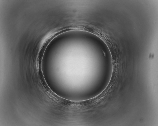 X0000090880294200707271317