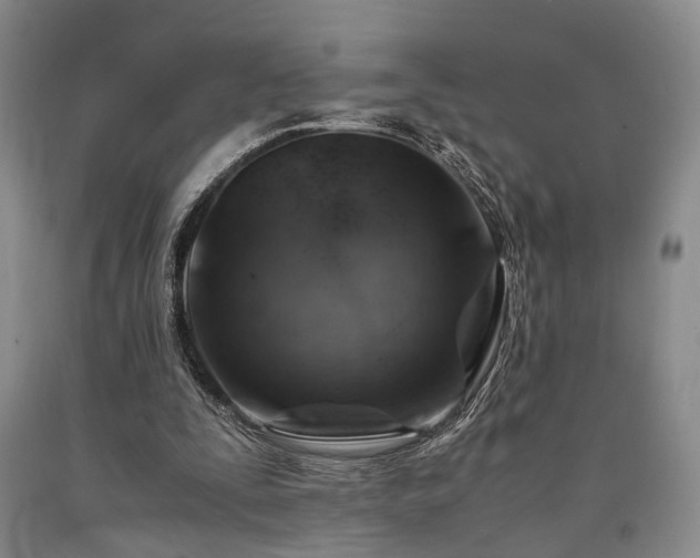 X0000090880295200707271317