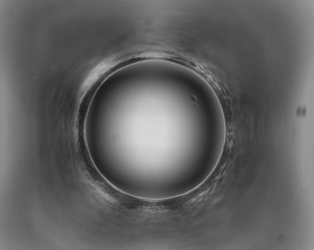 X0000090880296200707271317