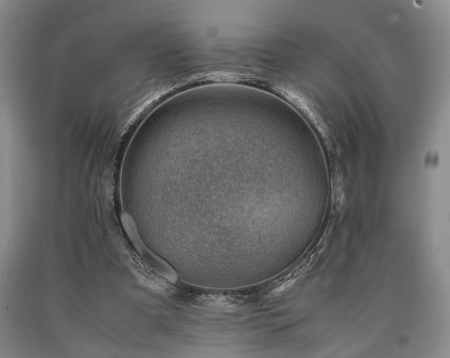 X0000090880297200707271317
