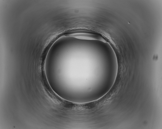 X0000090880299200707271317