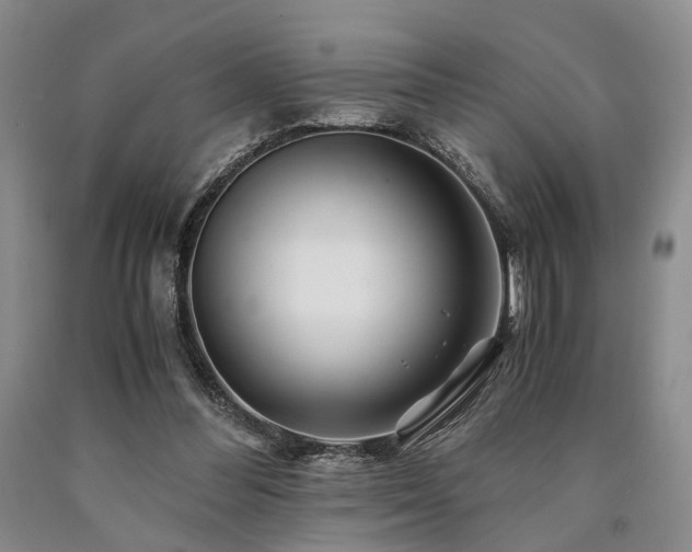 X0000090880300200707271317