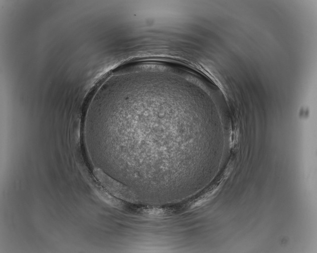 X0000090880301200707271317