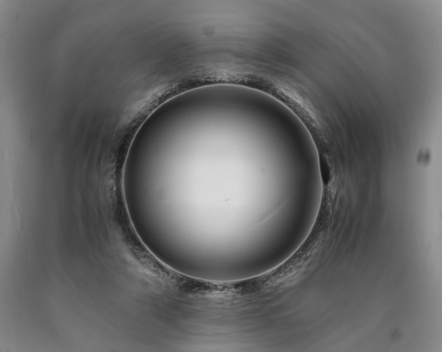 X0000090880306200707271317