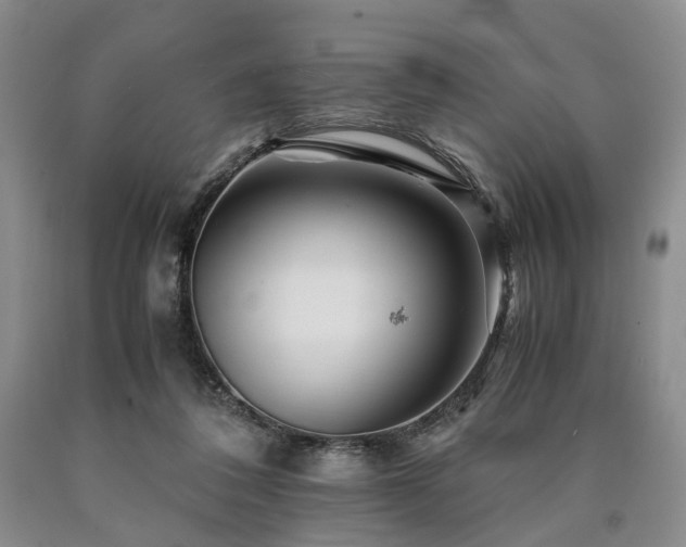 X0000090880308200707271317