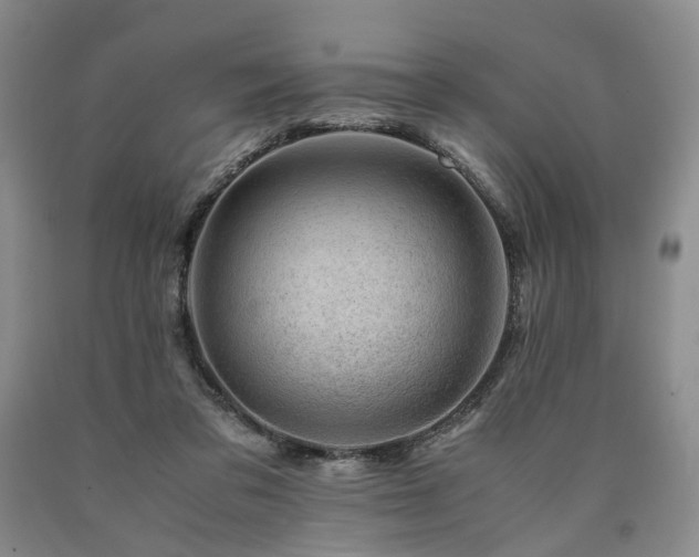 X0000090880309200707271317
