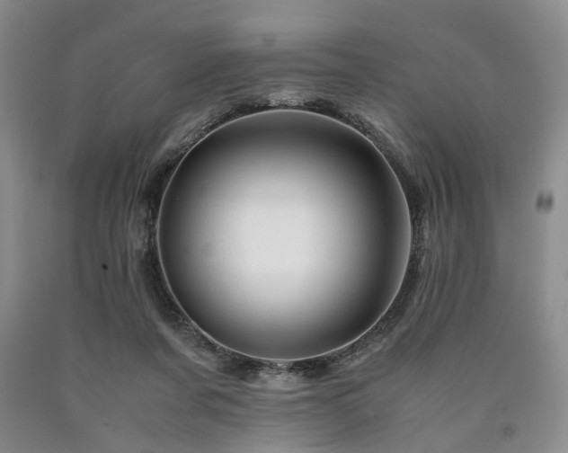 X0000090880311200707271317