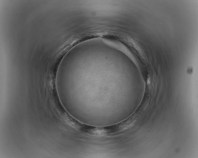 X0000090880313200707271317