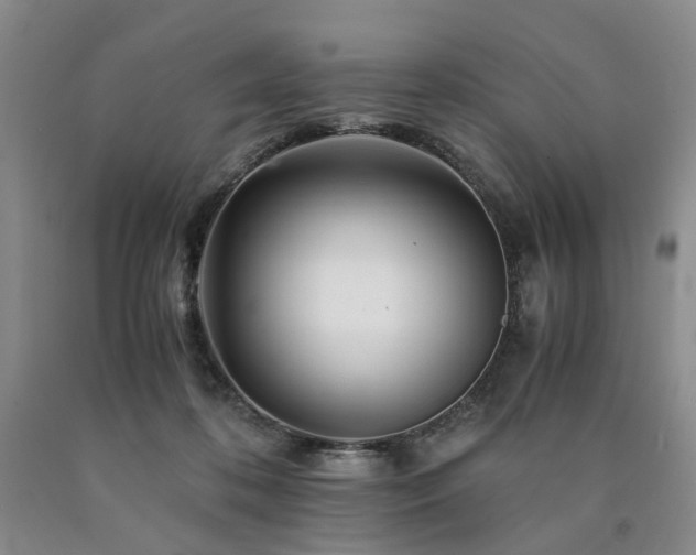 X0000090880316200707271317