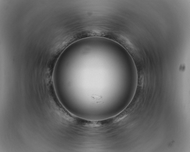 X0000090880318200707271317