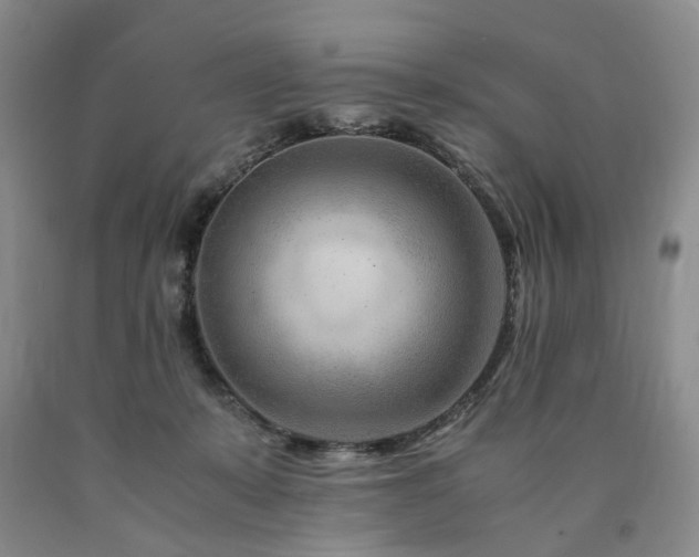 X0000090880319200707271317