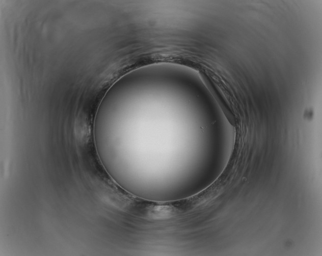 X0000090880324200707271316