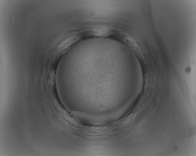X0000090880325200707271316