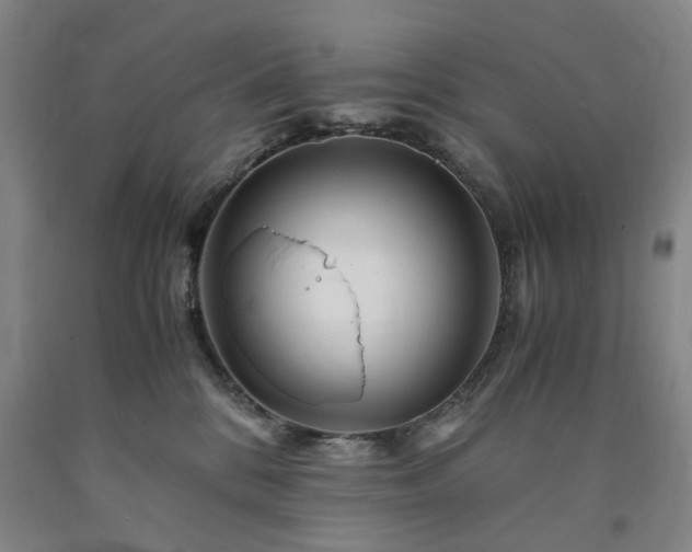 X0000090880328200707271316