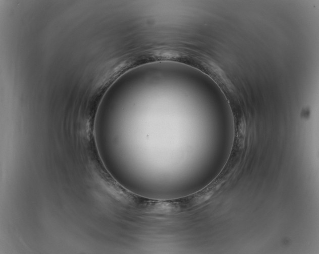 X0000090880330200707271316