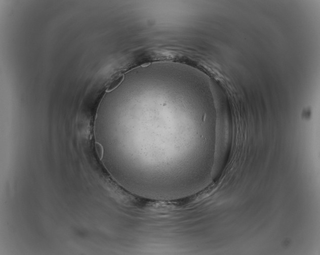 X0000090880331200707271316