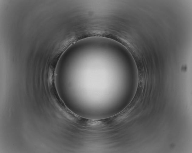 X0000090880334200707271316