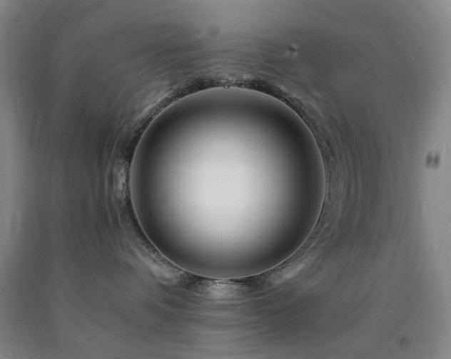 X0000090880336200707271316