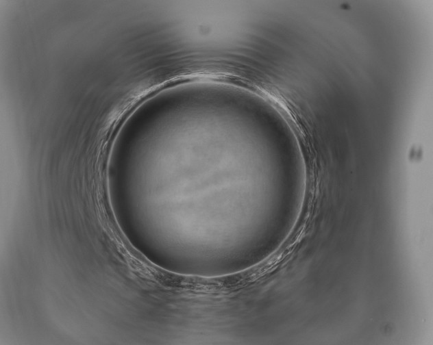 X0000090880337200707271316