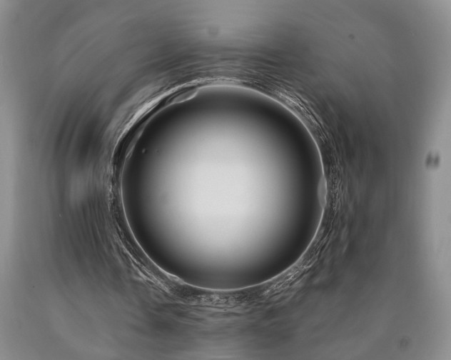 X0000090880338200707271316