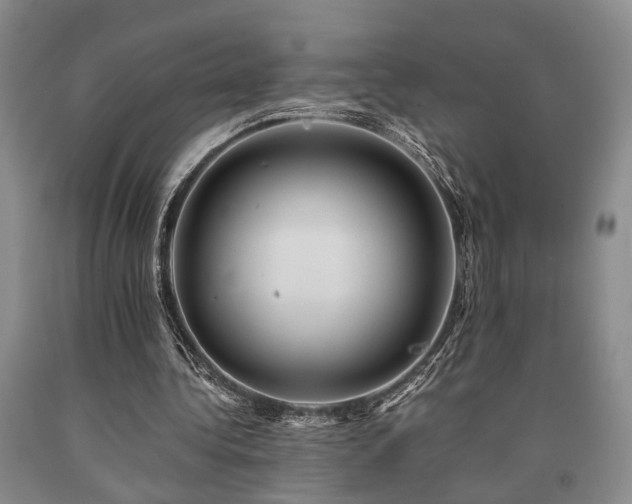 X0000090880340200707271316