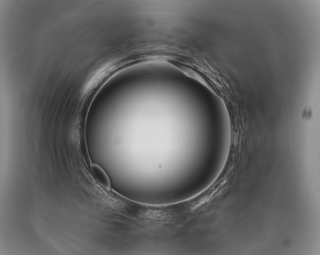 X0000090880341200707271316