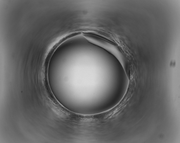X0000090880342200707271316