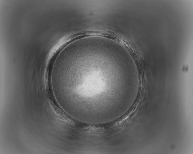 X0000090880343200707271316