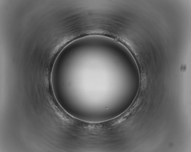 X0000090880345200707271316
