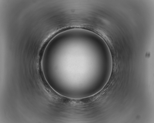 X0000090880346200707271316