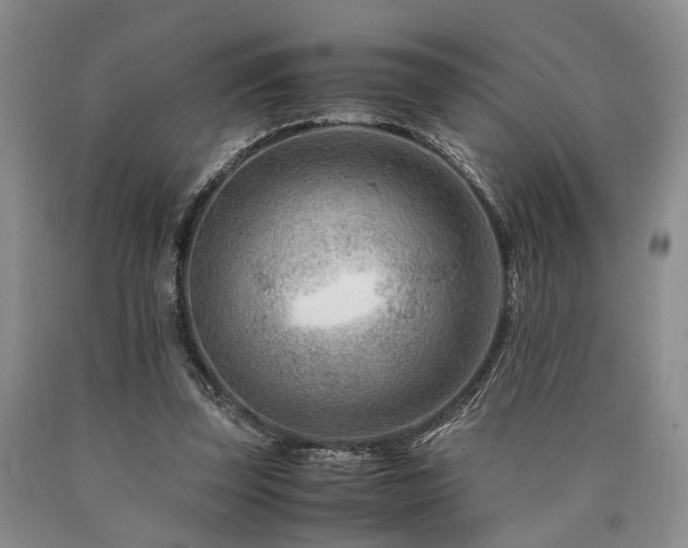 X0000090880347200707271316