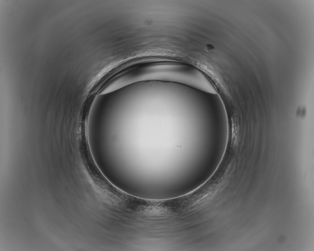 X0000090880348200707271316