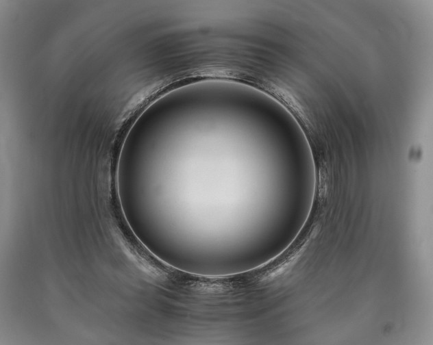 X0000090880349200707271316