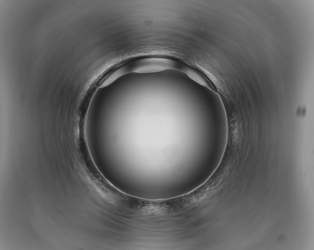 X0000090880350200707271316
