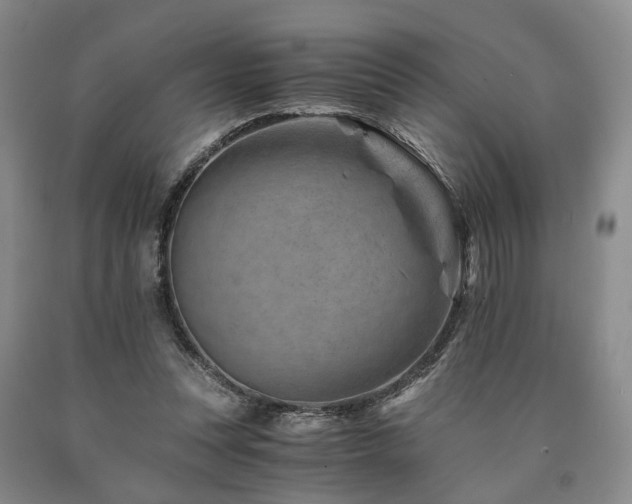 X0000090880351200707271316