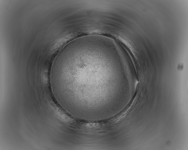 X0000090880353200707271316