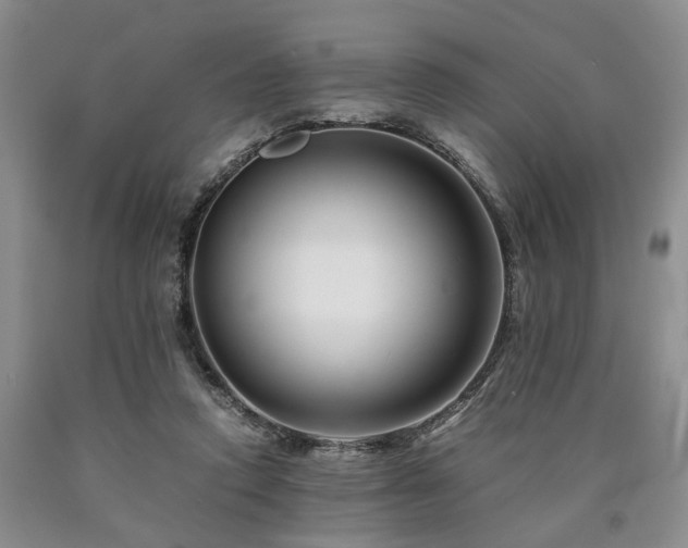 X0000090880354200707271316